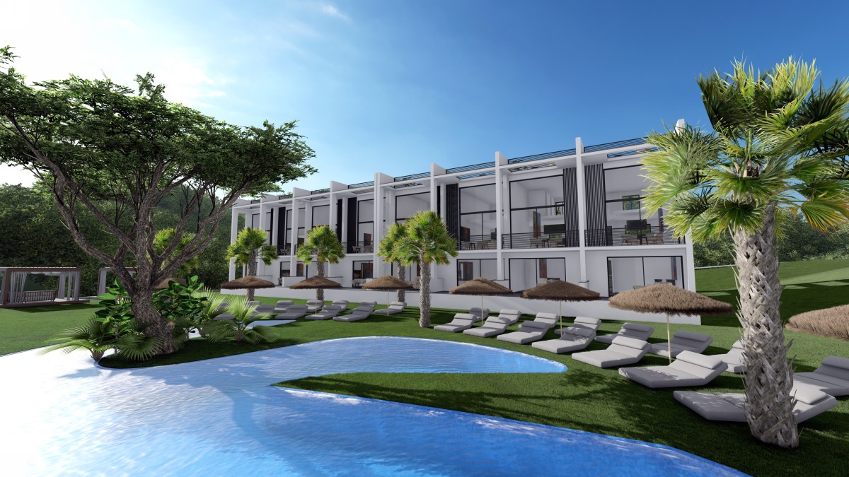 Side view of a modern villa with a palm tree