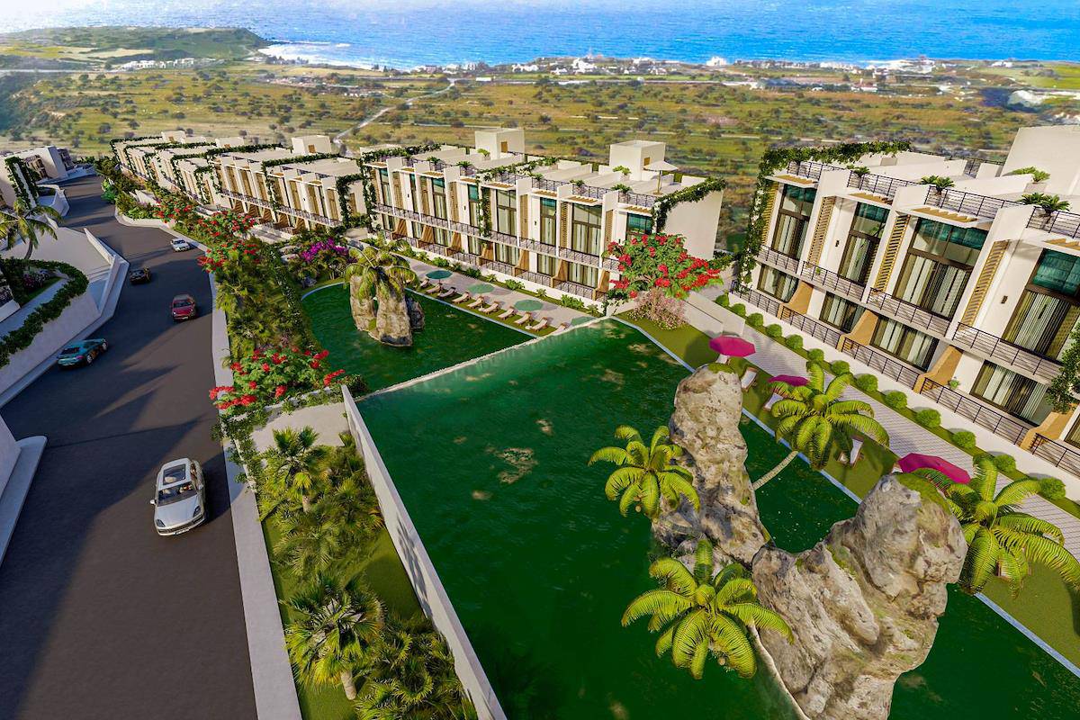 Side view of a modern villa with a palm tree