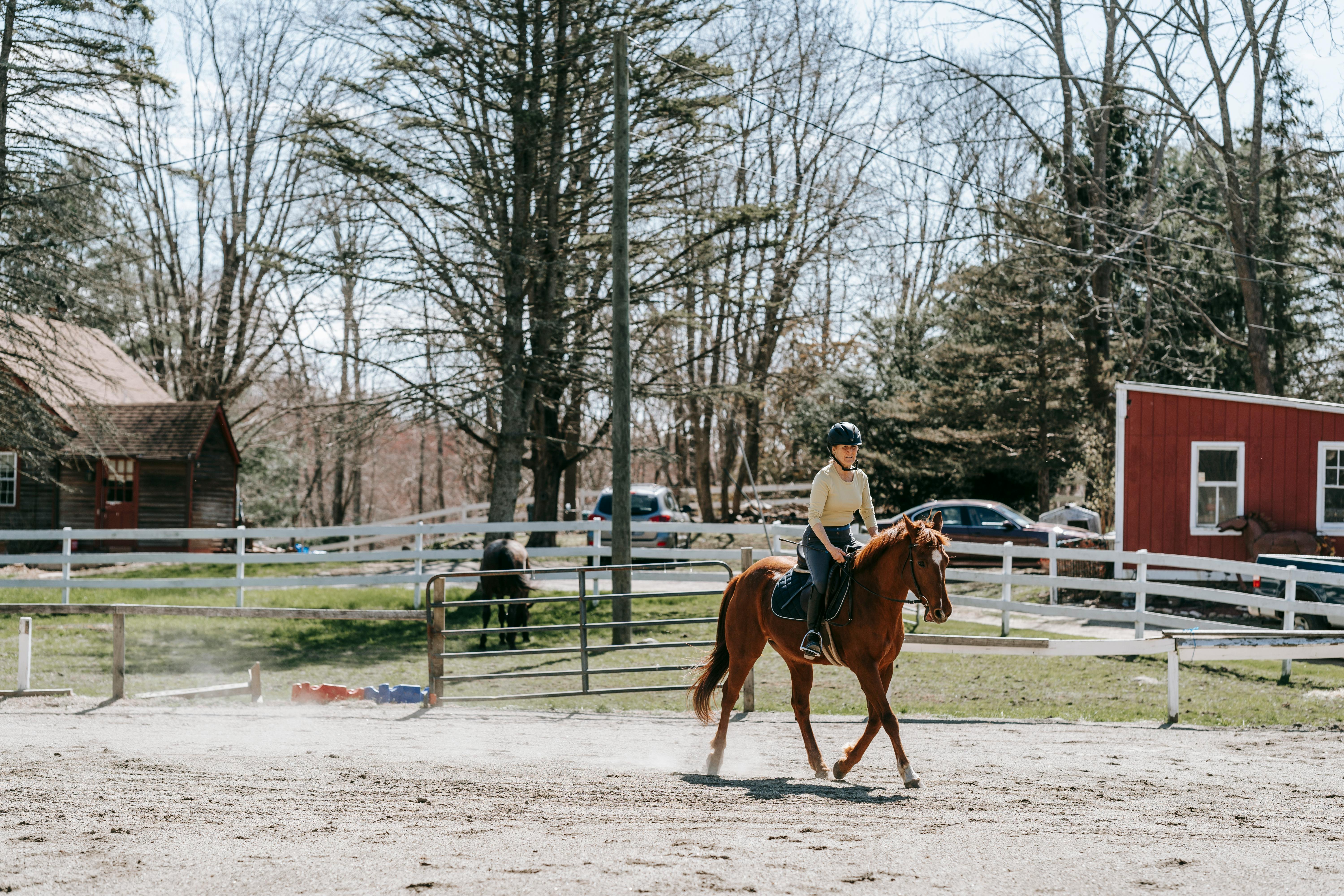 Horse Riding in North Cyprus | Cyprus Constructions Lifestyle