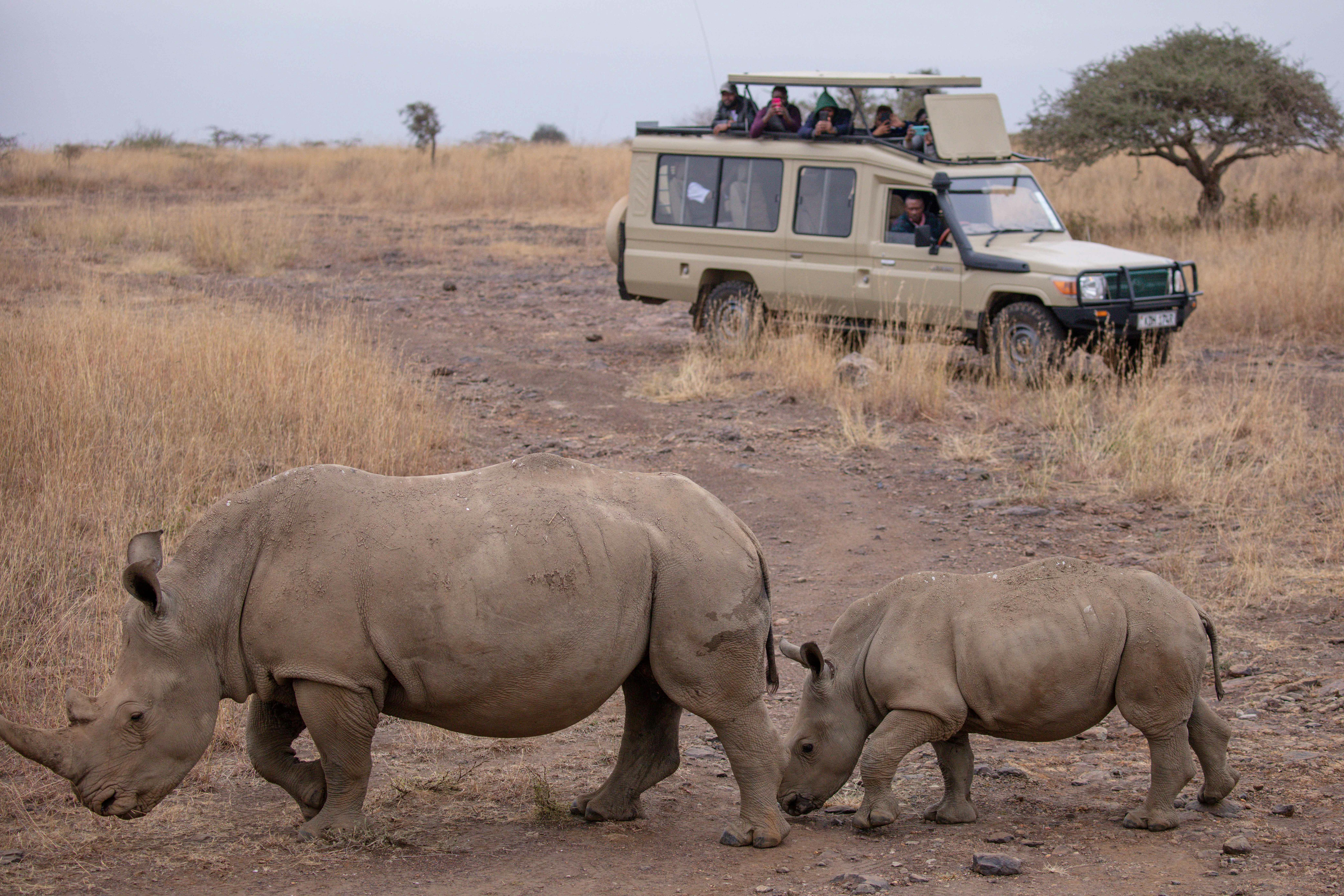 Safari & Nature Tours in North Cyprus | Cyprus Constructions