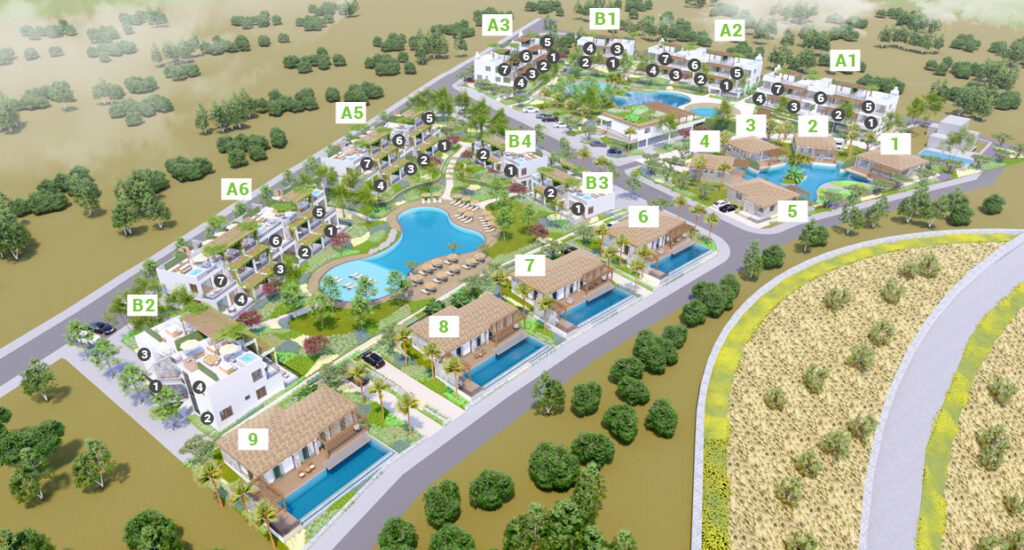 Project Aerial View